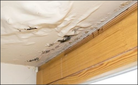 Drywall Damage From Roof Leak